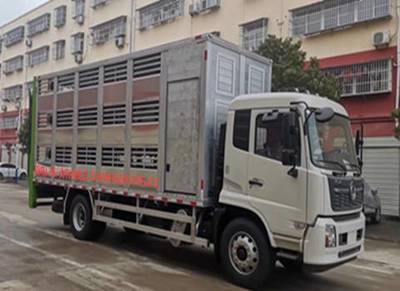 專業高效，動物福利新標桿——東風天錦6.8米恒溫全鋁合金運豬車解析