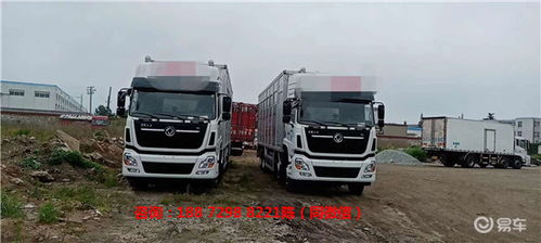 新款東風(fēng)天龍4層豬苗運輸車 鋁合金廂體上裝價格解析與車型優(yōu)勢